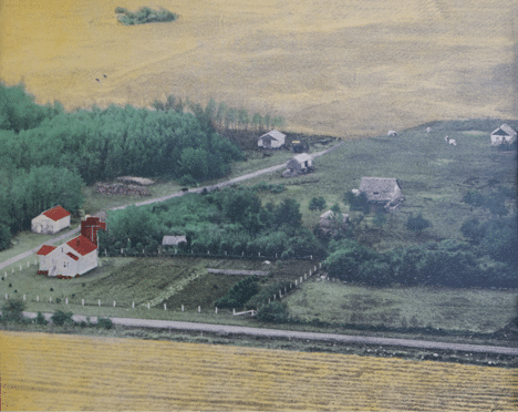 Stawnichy’s family farm, serving Albertans for over 100 years | Stawnichy’s History | Mundare Sausage